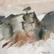 أنفاس أنفاس